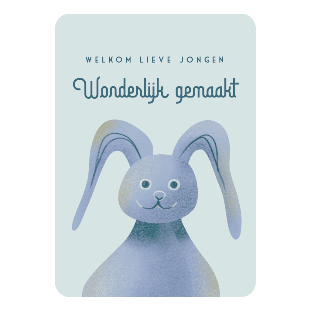 Kaart 'Welkom lieve jongen'