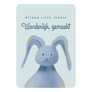 Kaart 'Welkom lieve jongen'