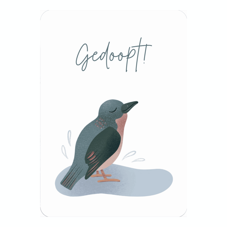 Kaart 'Gedoopt - vogel'