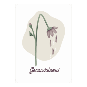 Kaart 'Gecondoleerd'