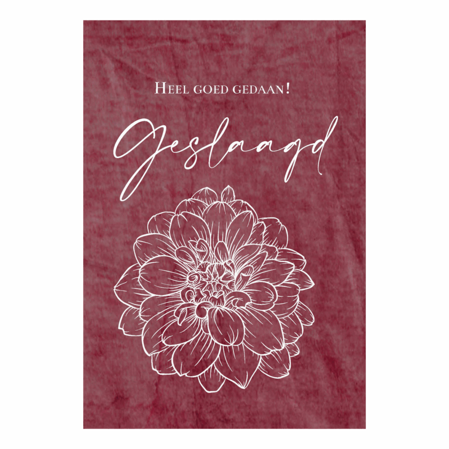 Wenskaart 'Geslaagd'