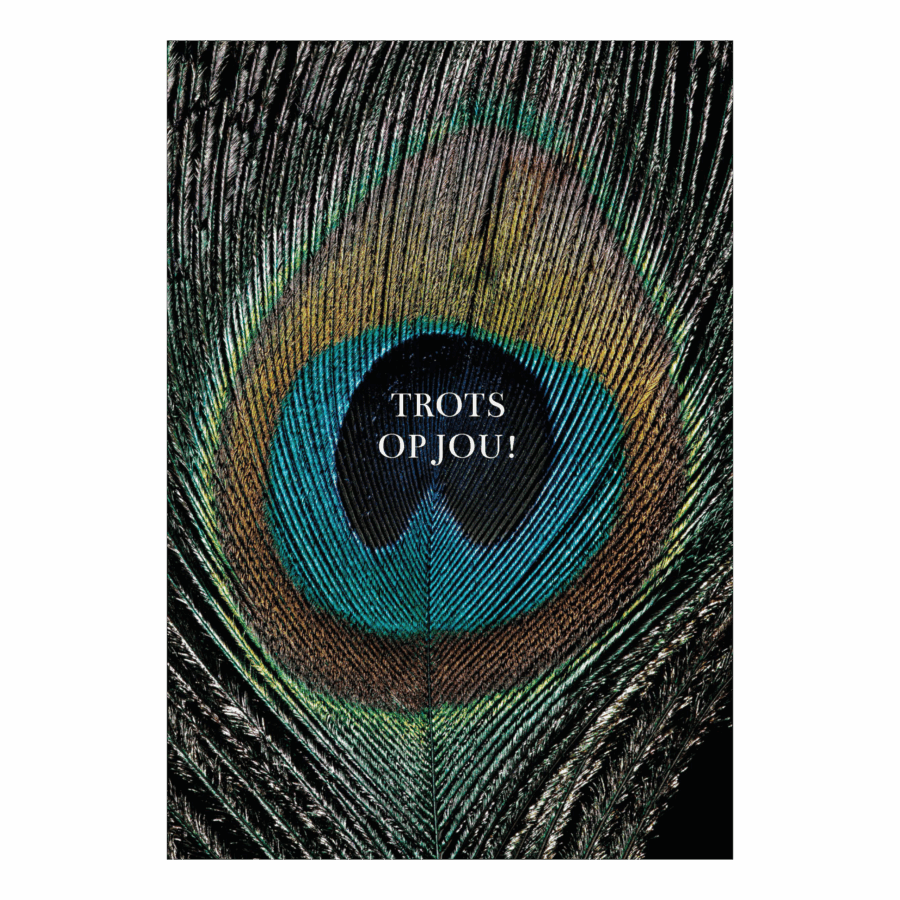 Wenskaart 'Trots op jou'