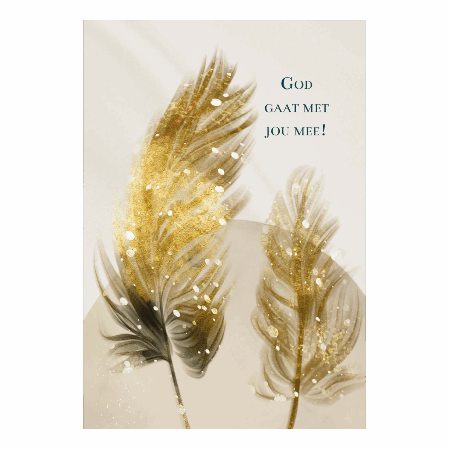 Wenskaart 'God gaat met jou mee'