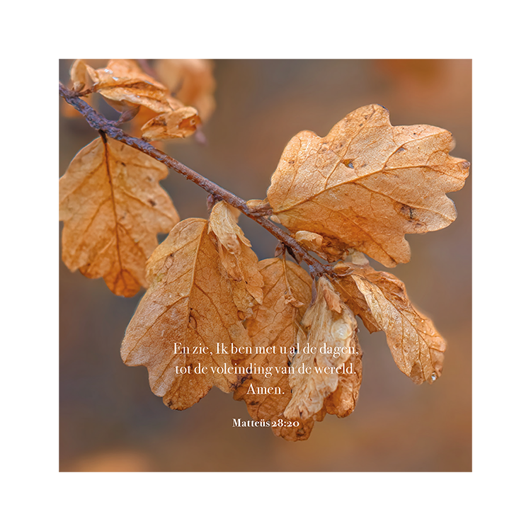 Kaart 'Herfstblad - Matteüs 28:20'