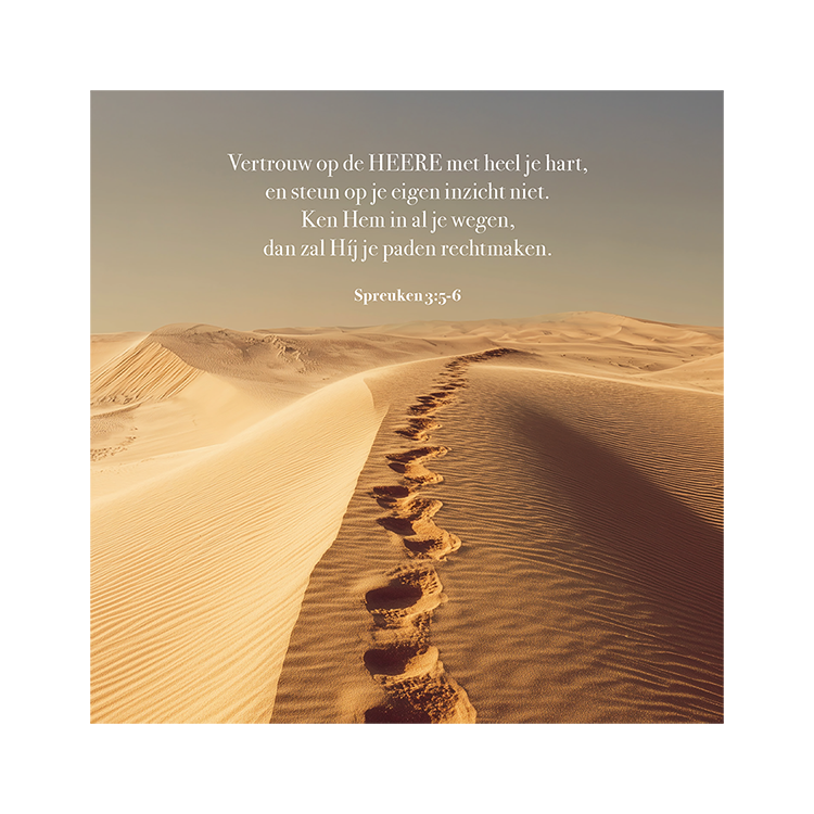 Kaart 'Woestijn spreuken 3:5-6'