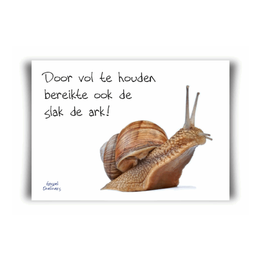 Poster A4 'door vol te houden'