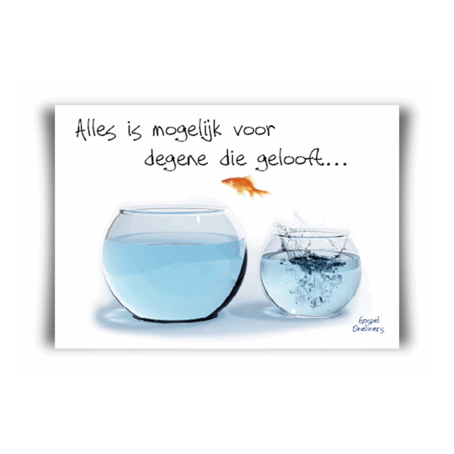 Poster A4 alles is mogelijk