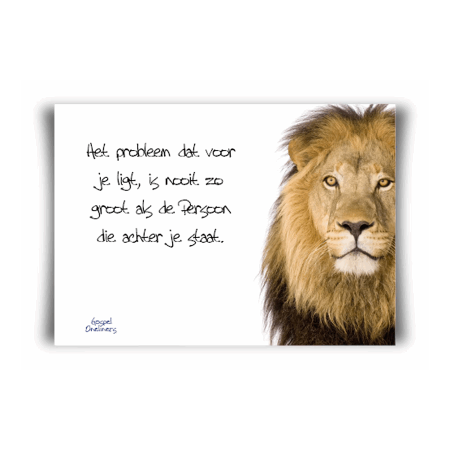 poster A4 'Het probleem dat voor je ligt'