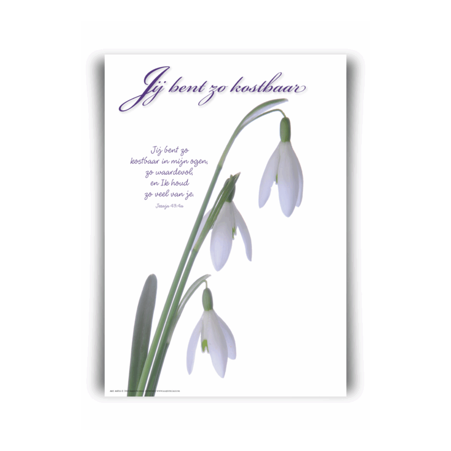 Poster A4 'Je bent zo kostbaar'