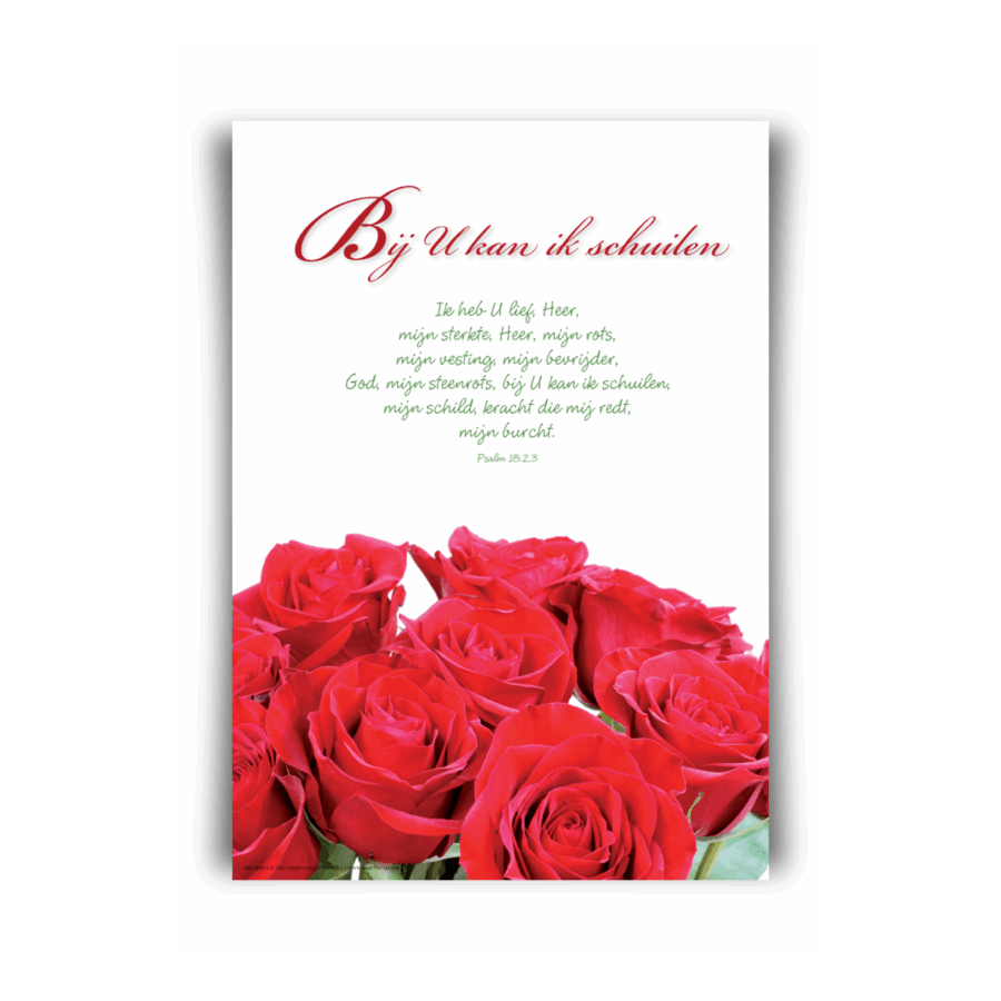 Poster A4 'Bij U kan ik schuilen'