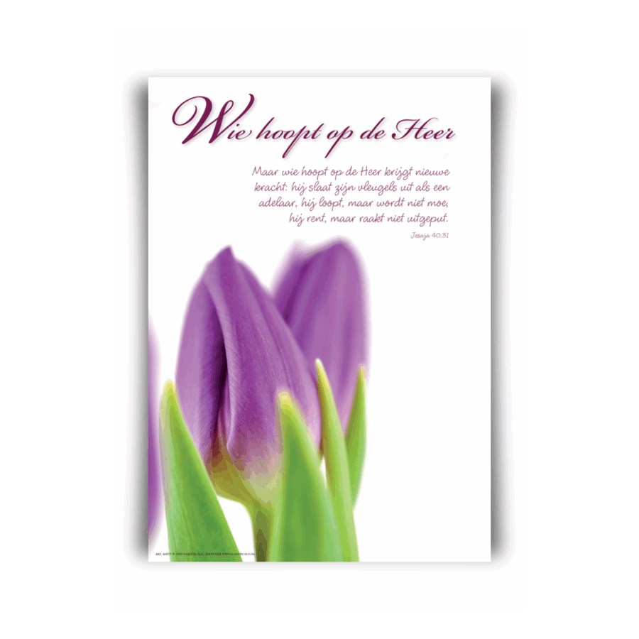 Poster A4 'Wie hoopt op de Heer'