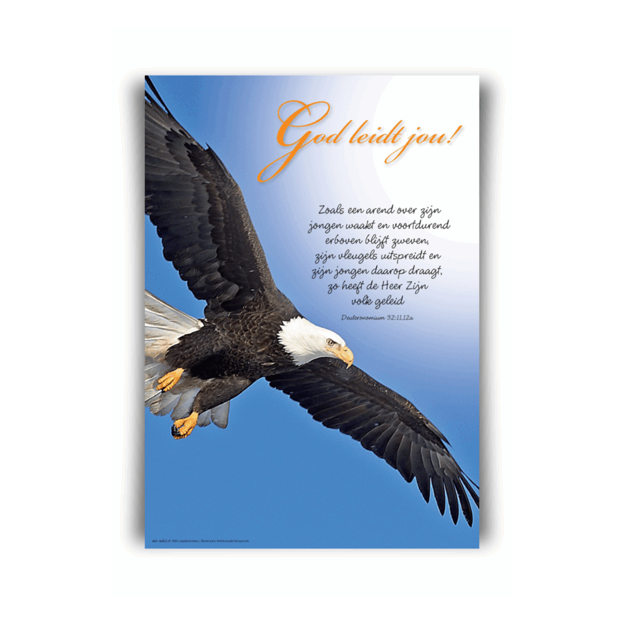 Poster A4 'God leidt jou'