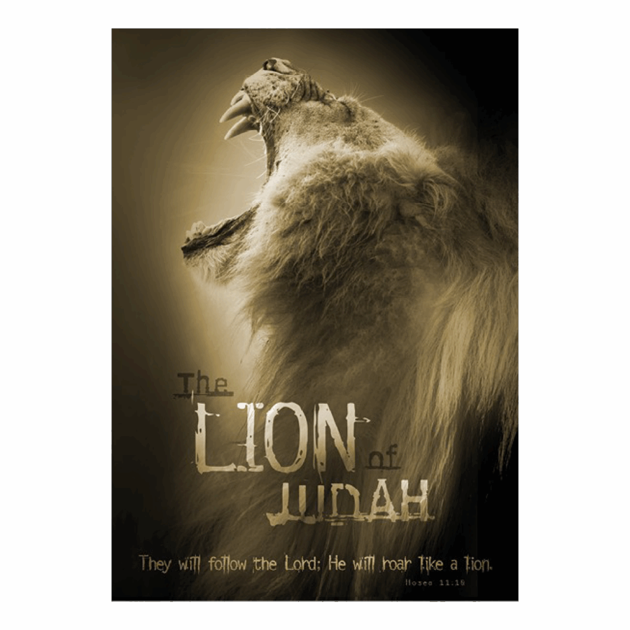 Poster 50x70 'The lion of Judah'