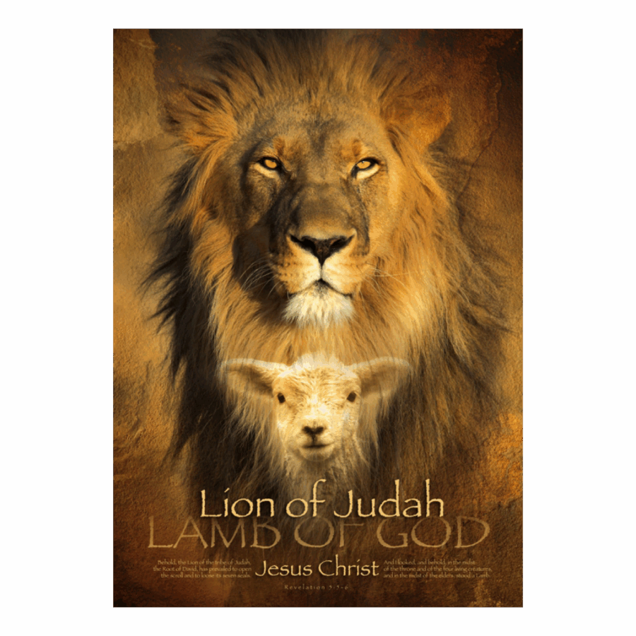Poster A3 'Lion of Judah' - met lammetje