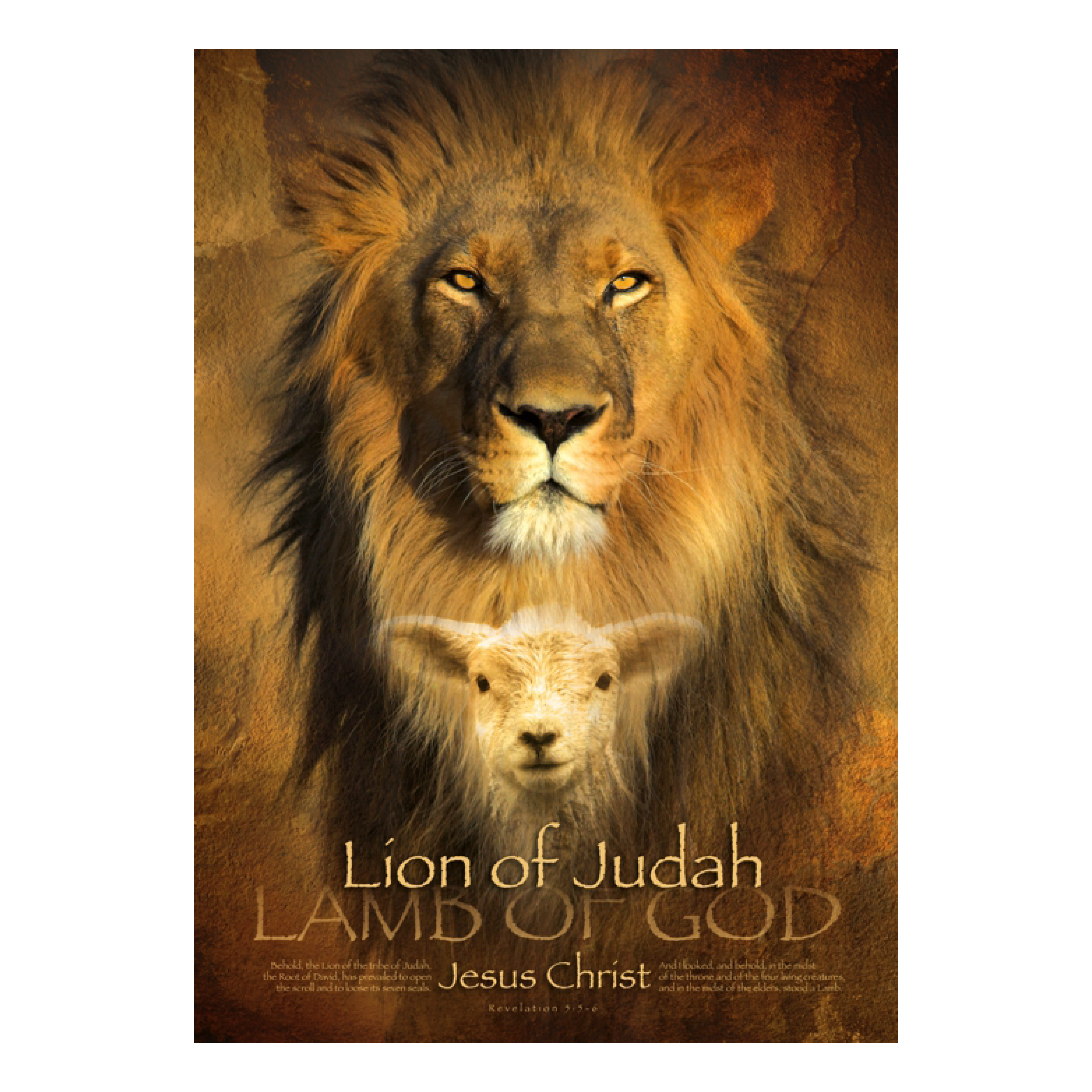 Poster A3 'Lion of Judah' - met lammetje