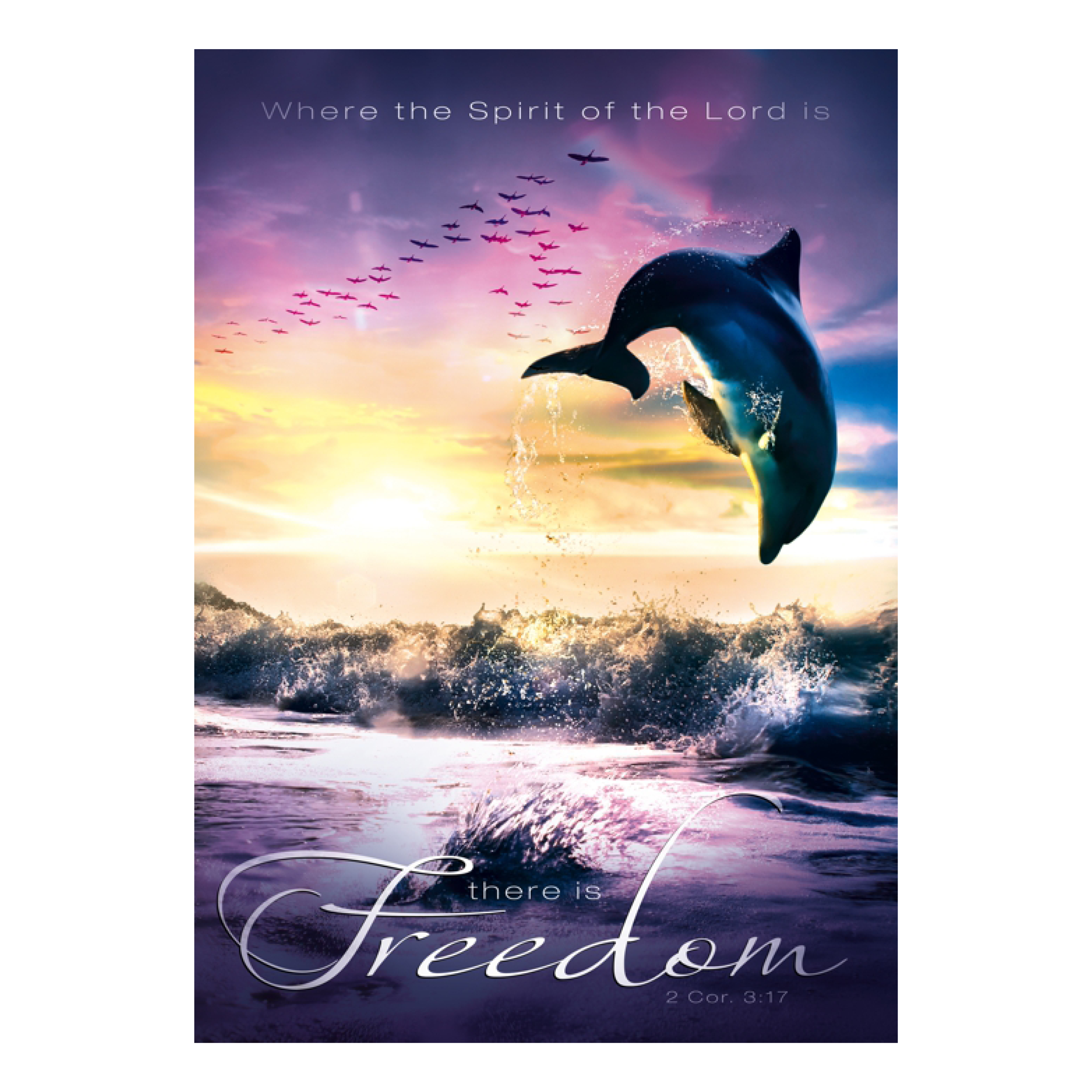 Poster 'Freedom'