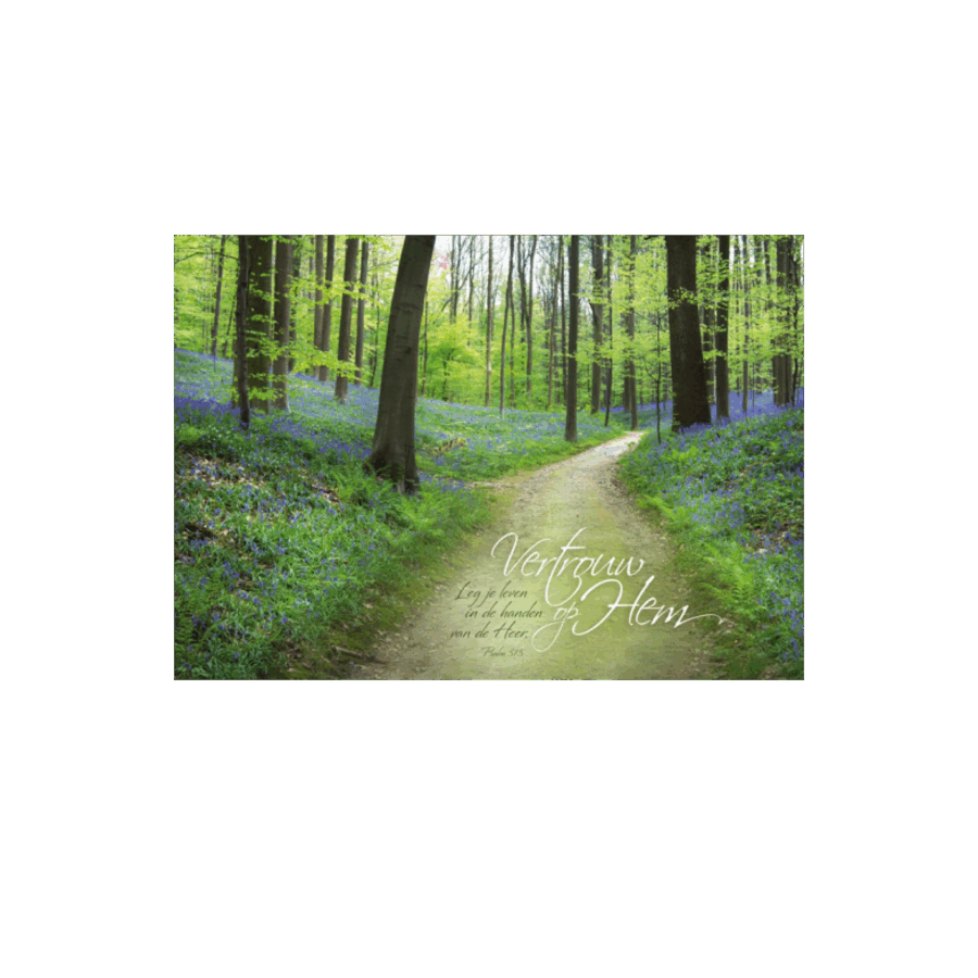 Poster A3 'Vertrouw op Hem'