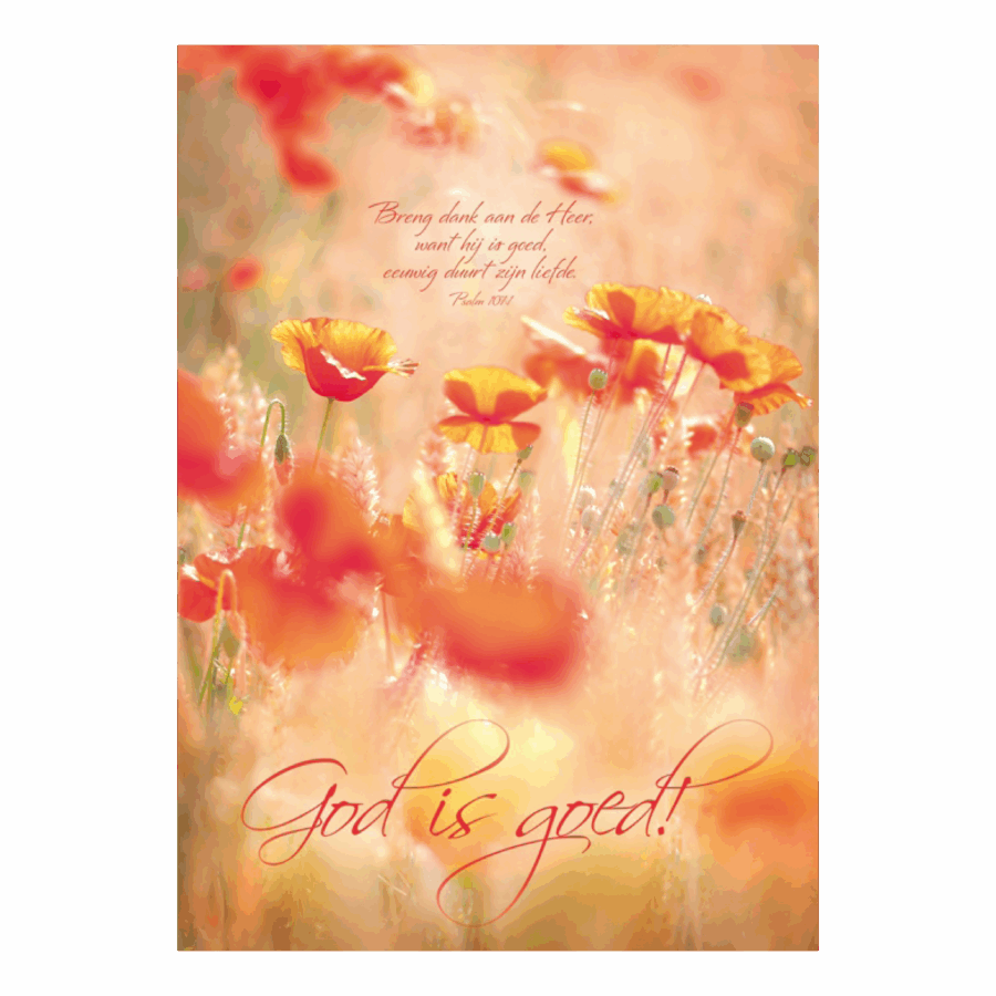 Poster A3 'God is goed'