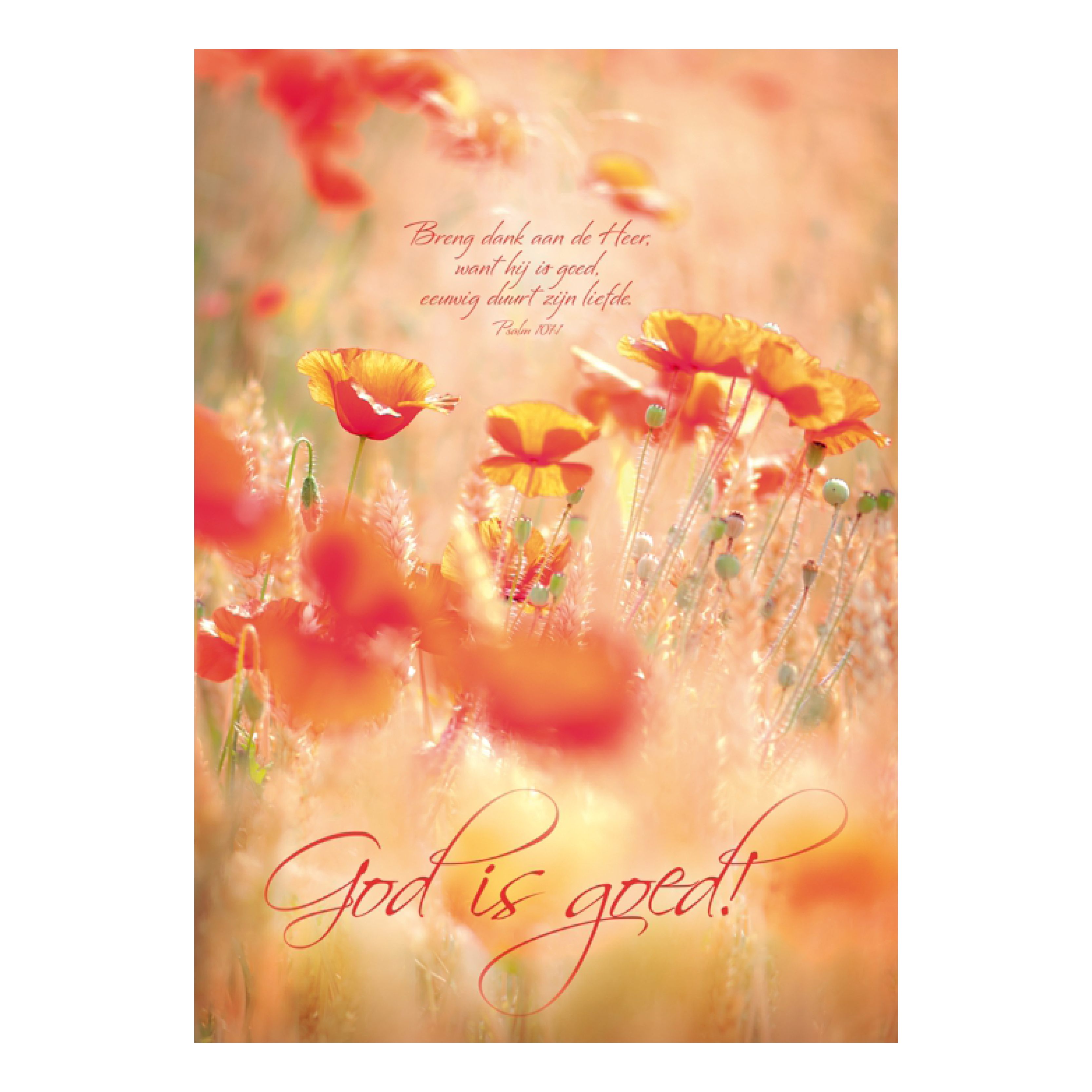 Poster A3 'God is goed'
