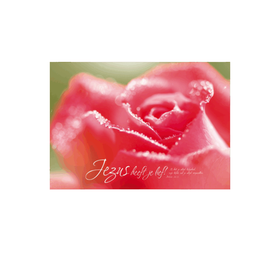Poster 'Jezus heeft je lief'