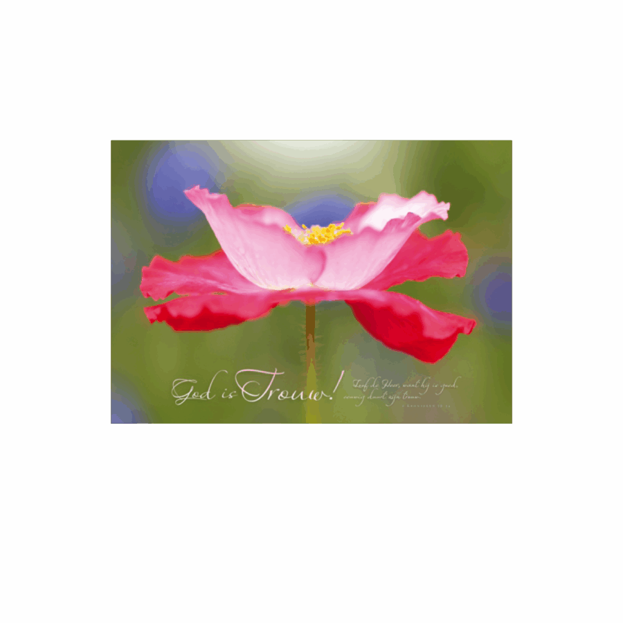 Poster 'God is trouw'