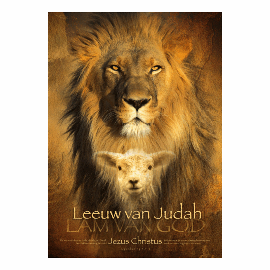 Poster 'Leeuw van Judah'