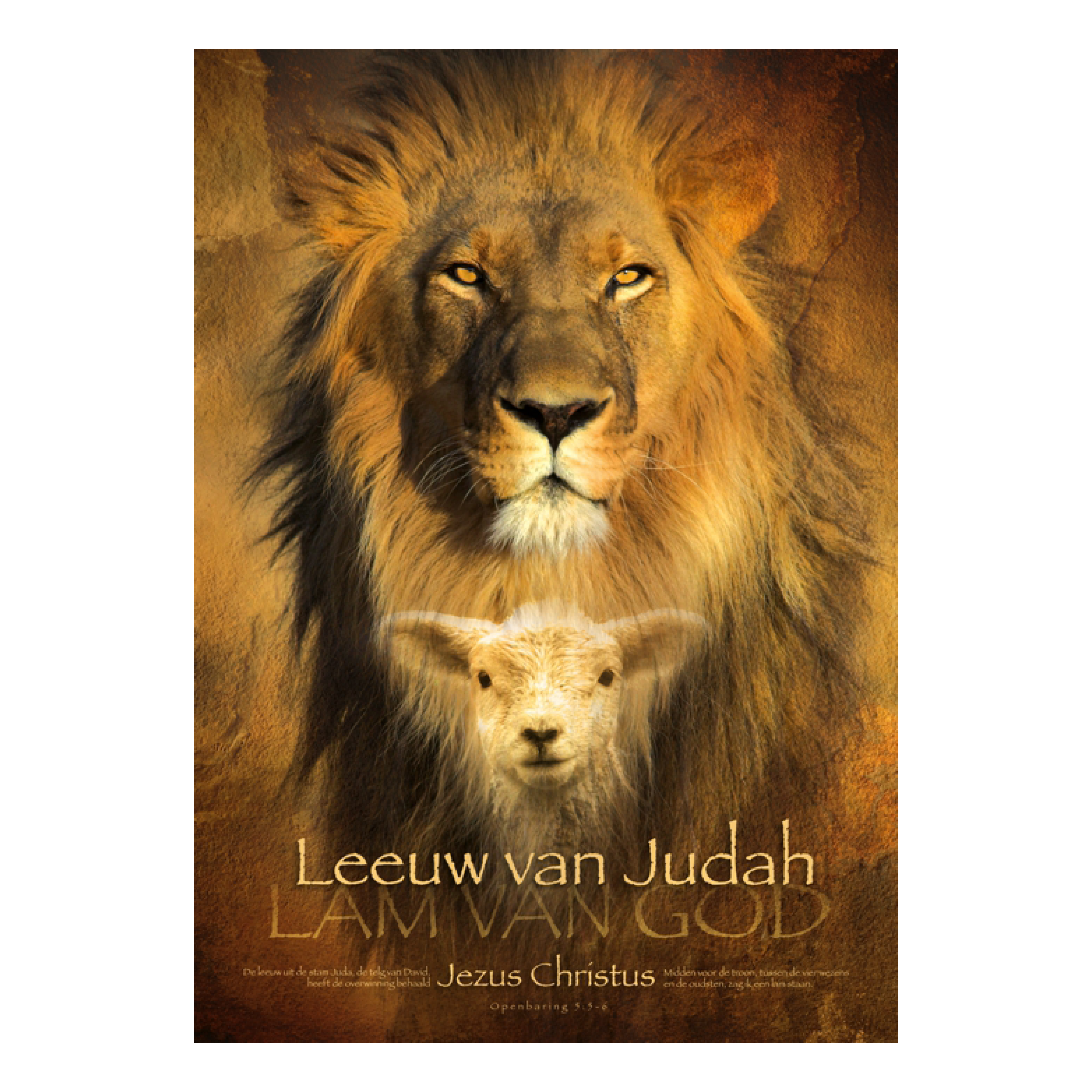 Poster 'Leeuw van Judah'