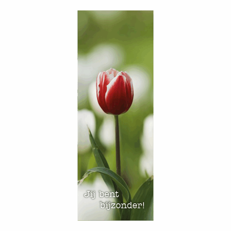 Boekenlegger jij bent bijzonder