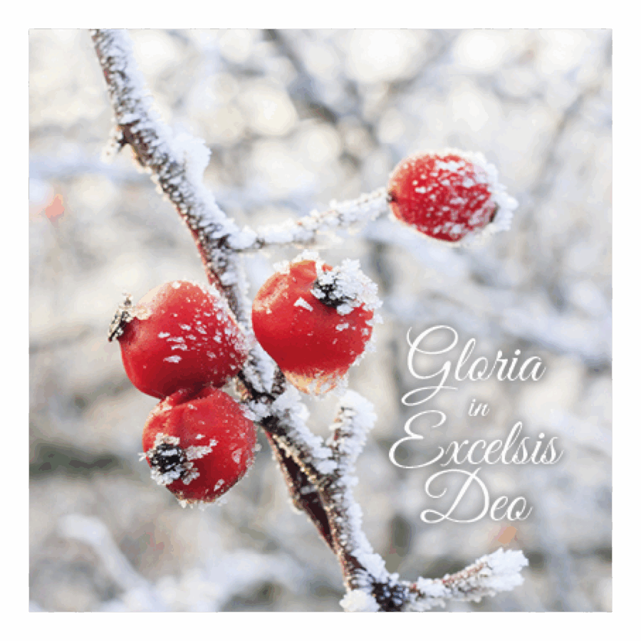 Kerstkaart 'Gloria in Excelsis Deo'