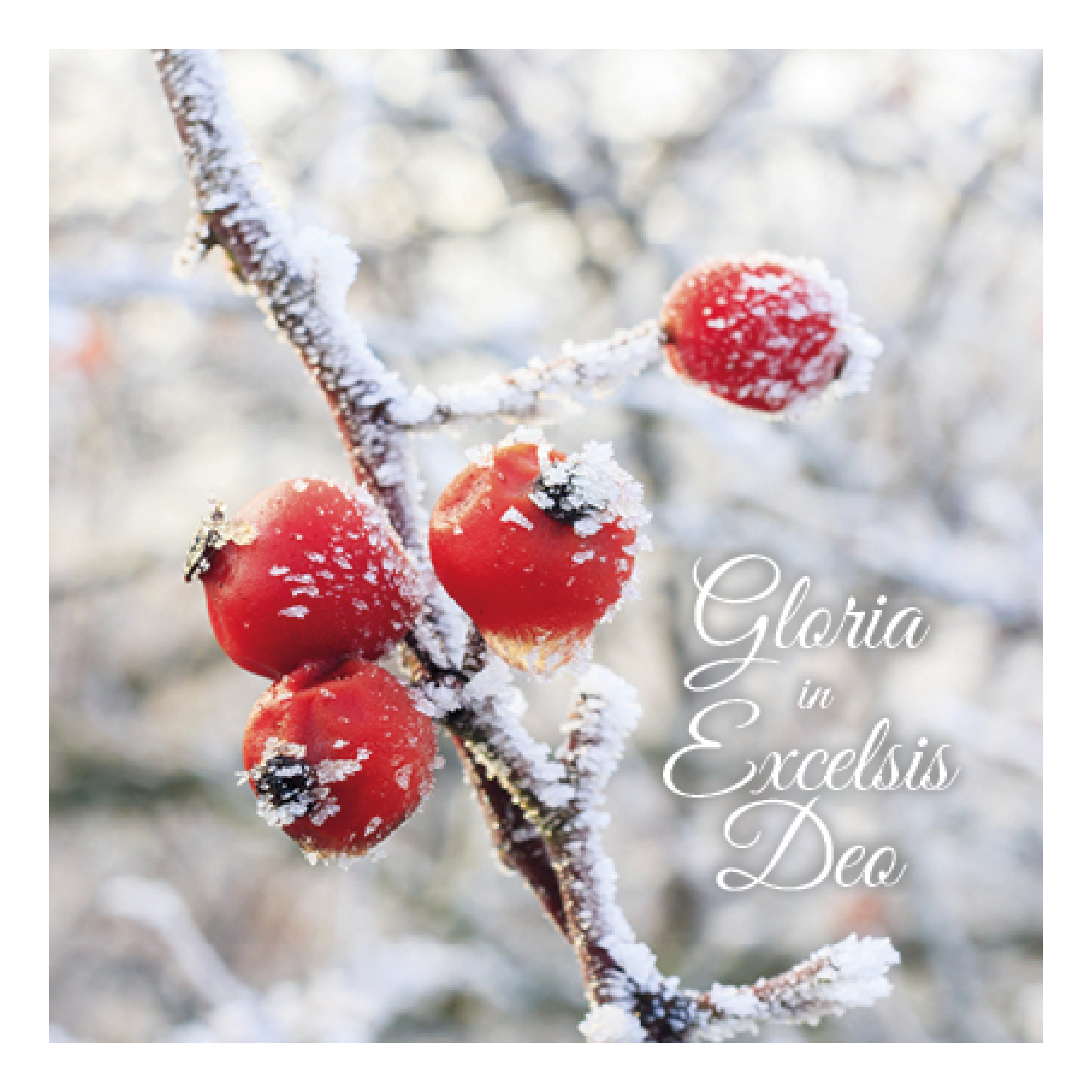 Kerstkaart 'Gloria in Excelsis Deo'
