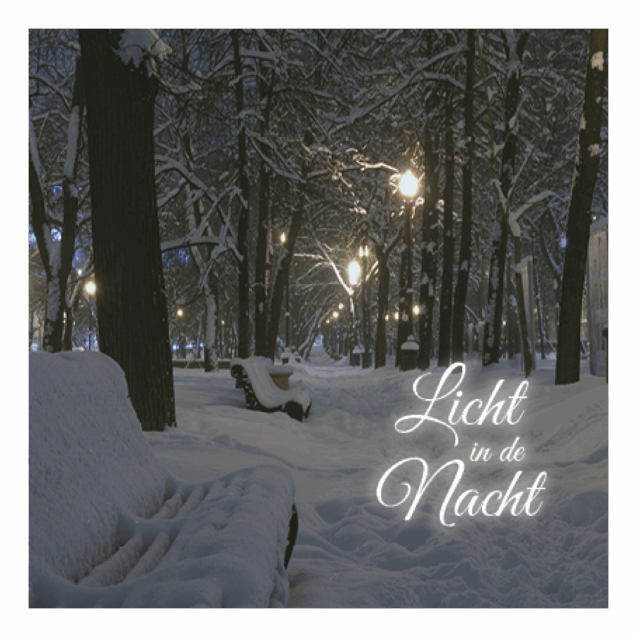 Kerstkaart 'Licht in de nacht'