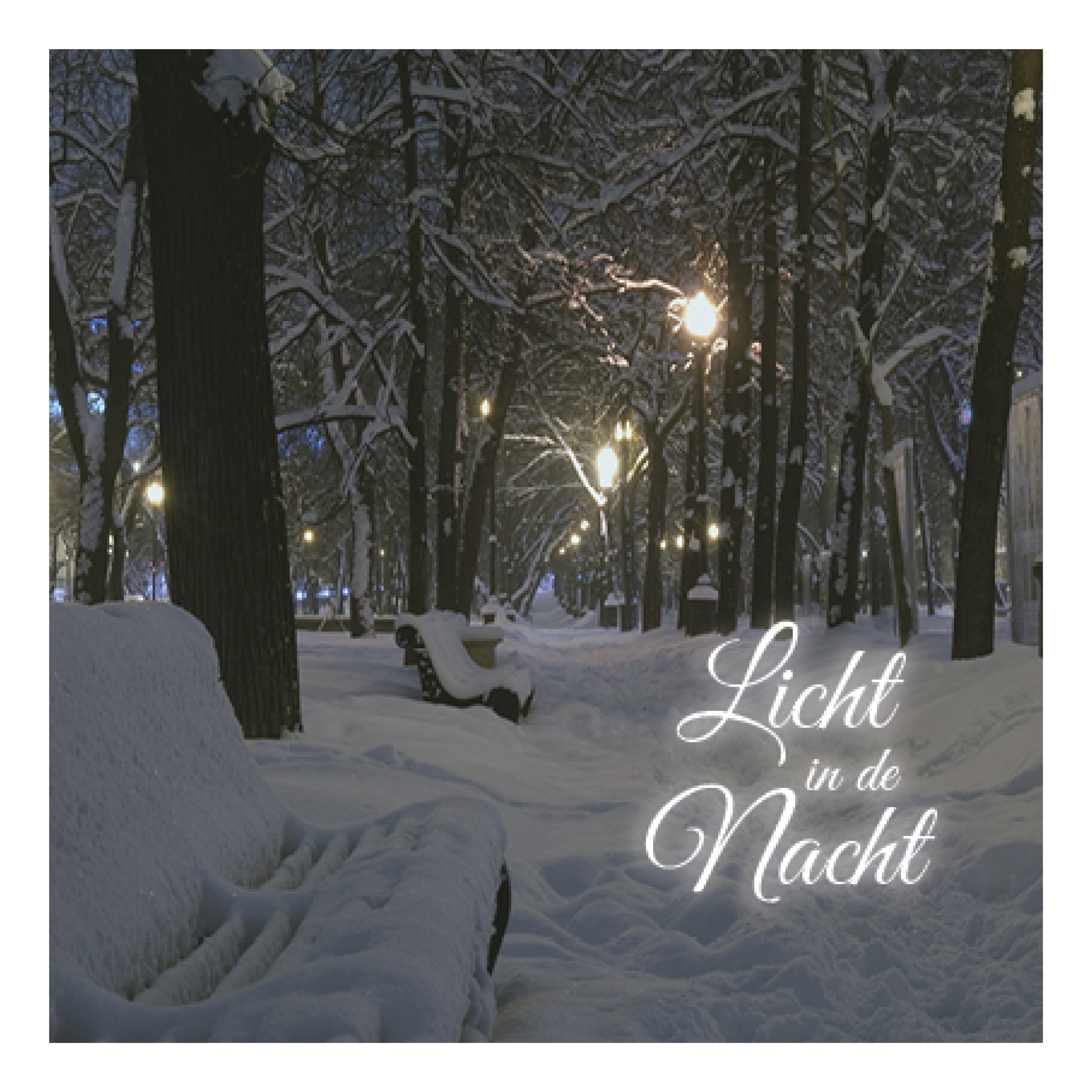 Kerstkaart 'Licht in de nacht'