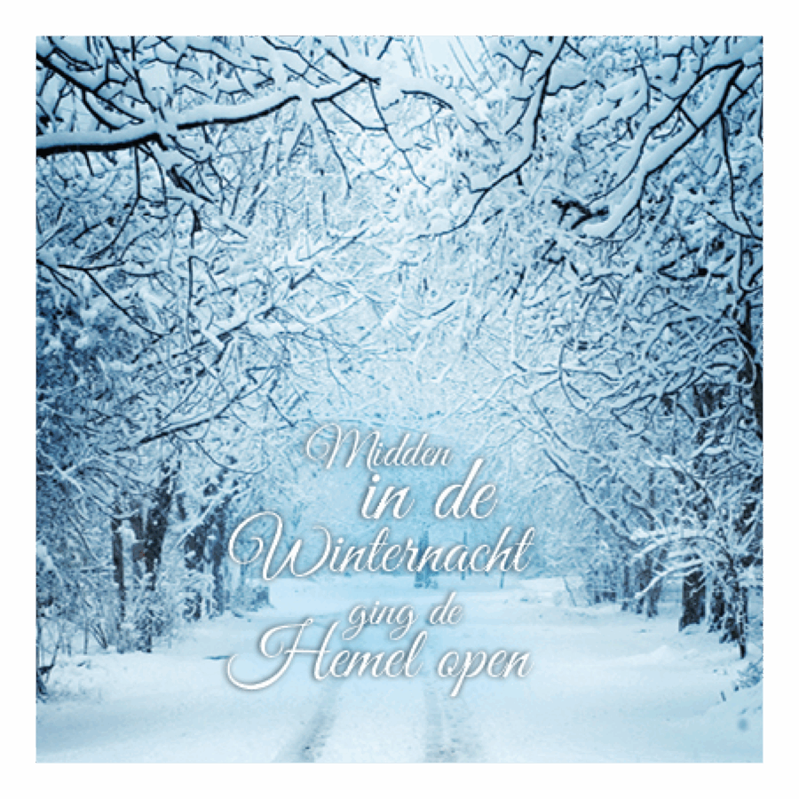 Kerstkaart 'Midden in de winternacht'