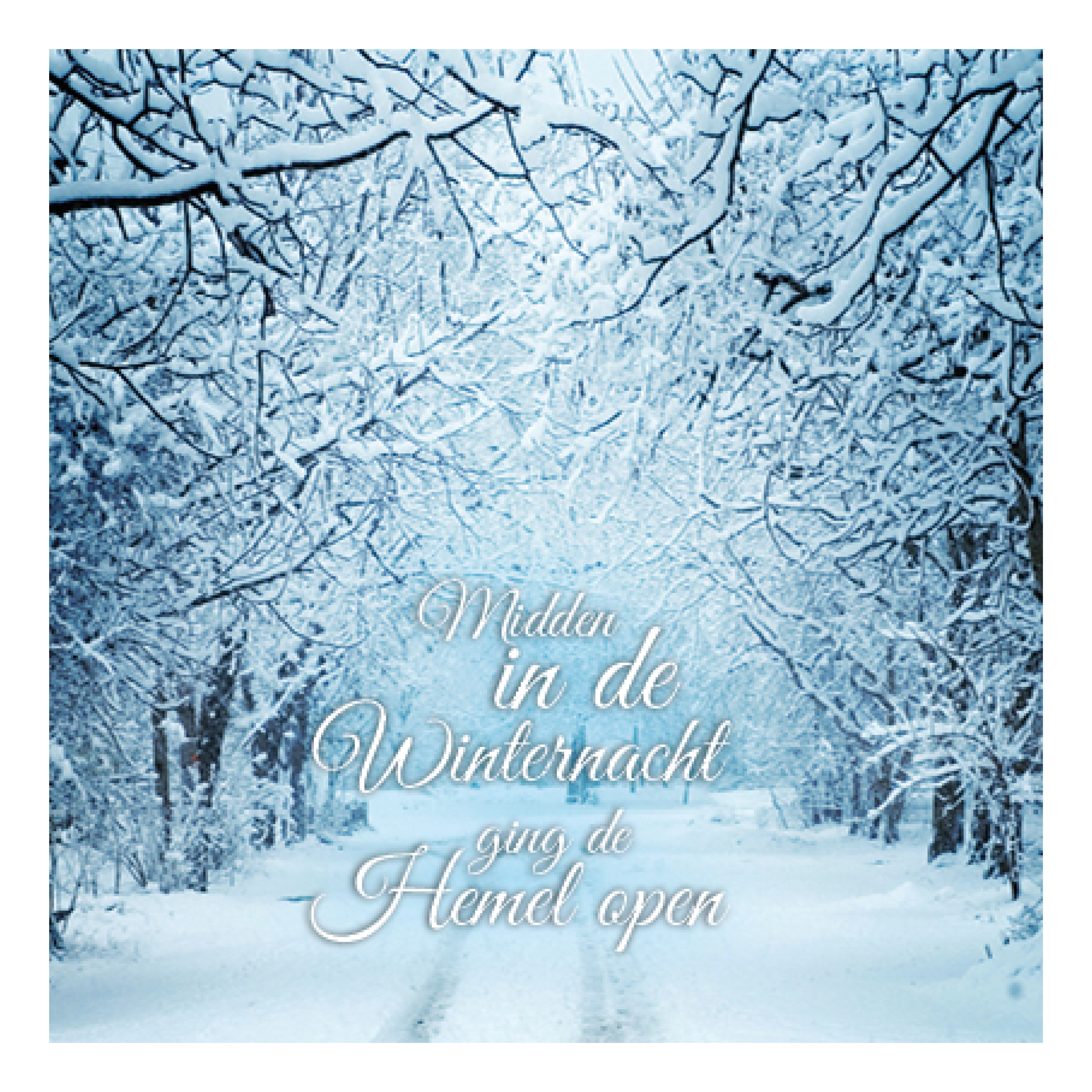 Kerstkaart 'Midden in de winternacht'