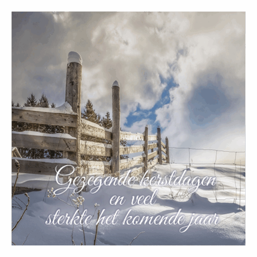 Kerstkaart 'Gezegende kerstdagen - sterkte'