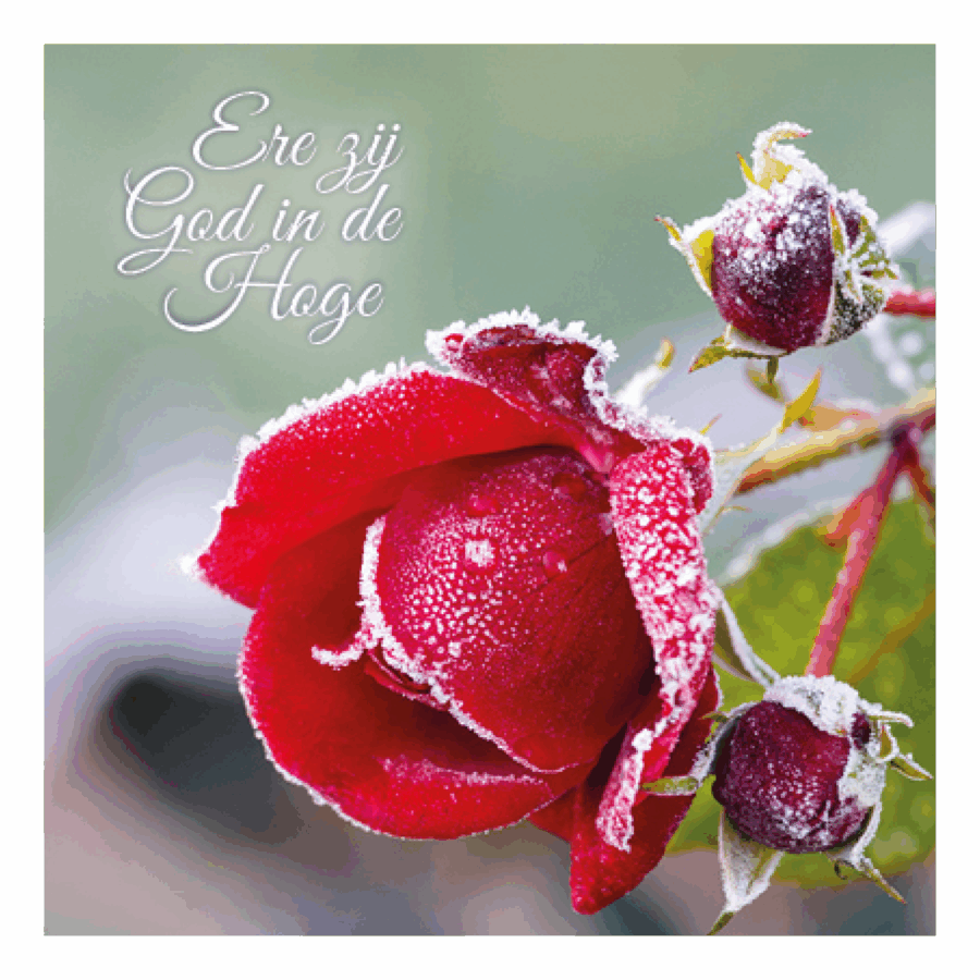 Kerstkaart 'Ere zij God'