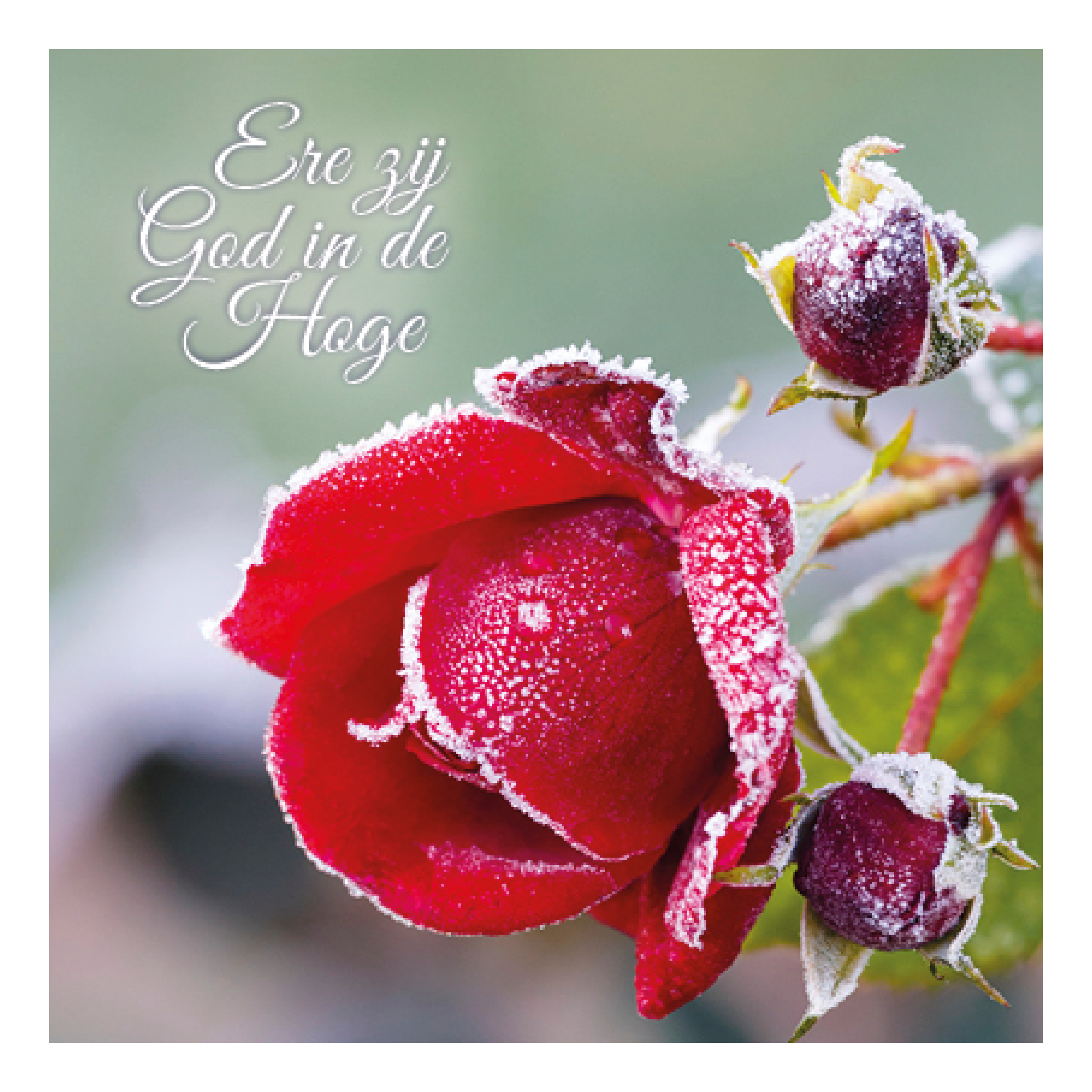 Kerstkaart 'Ere zij God'