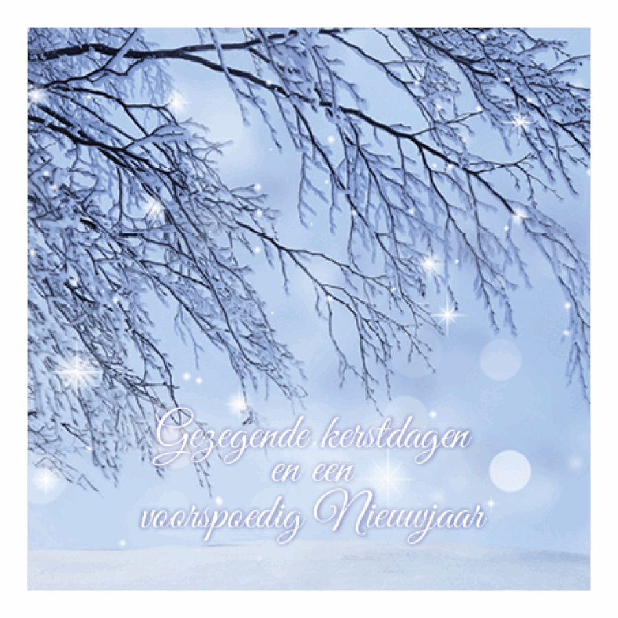 Kerstkaart 'Tak met lichtpuntjes'