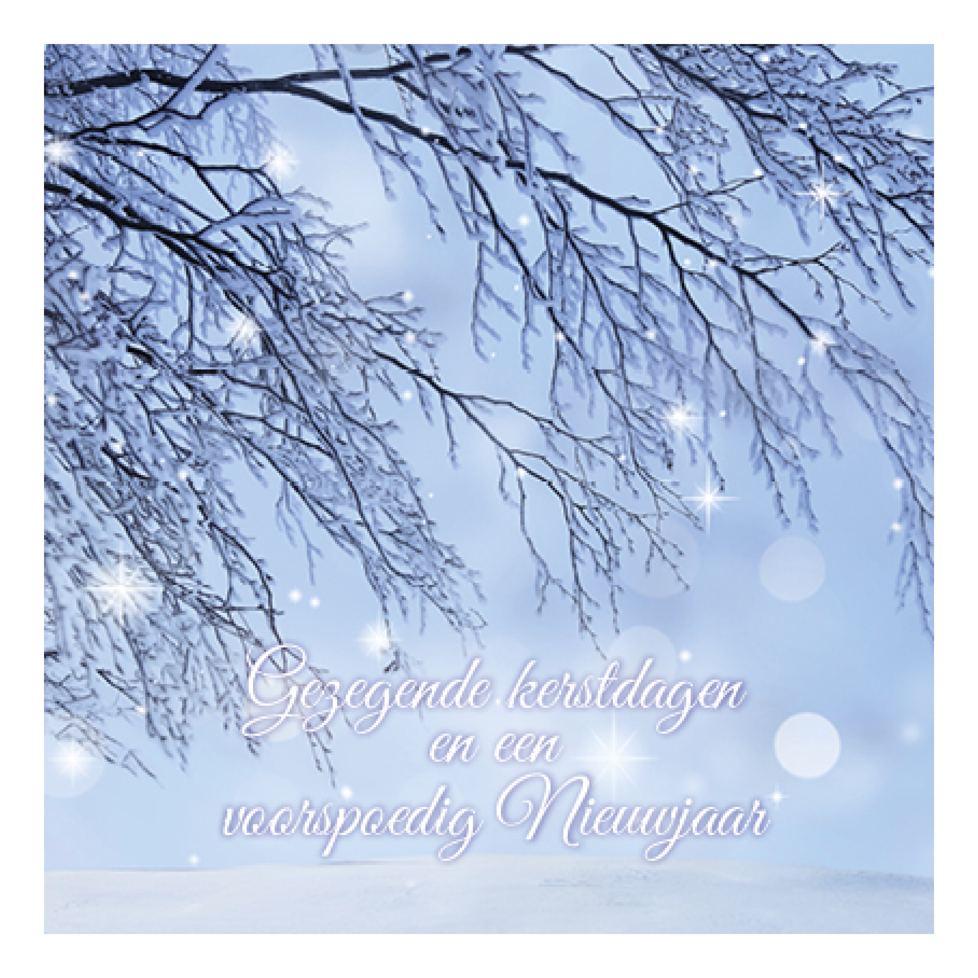 Kerstkaart 'Tak met lichtpuntjes'