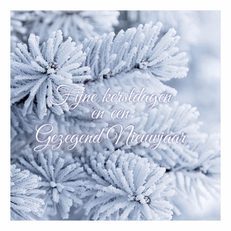 Kerstkaart 'Besneeuwde takken'