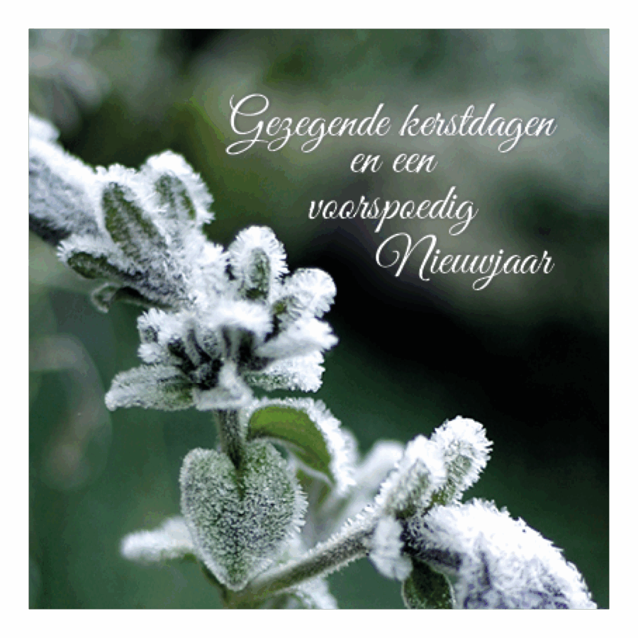 Kerstkaart 'Tak met ijs'