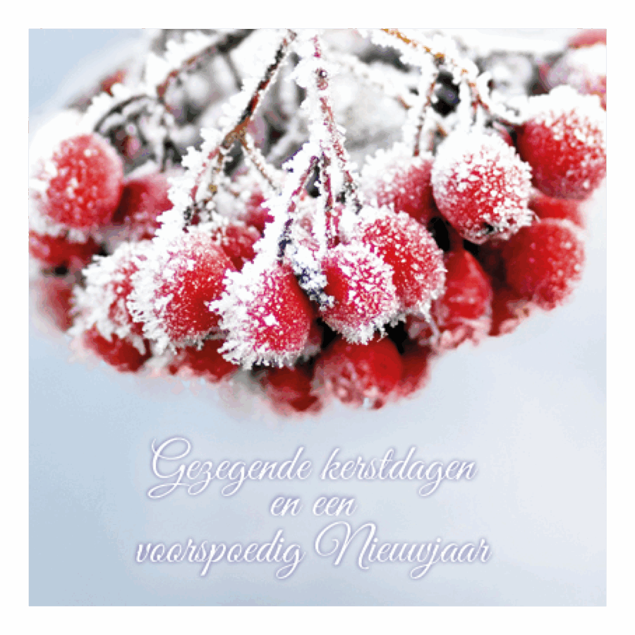 Kerstkaart 'Tros besjes'