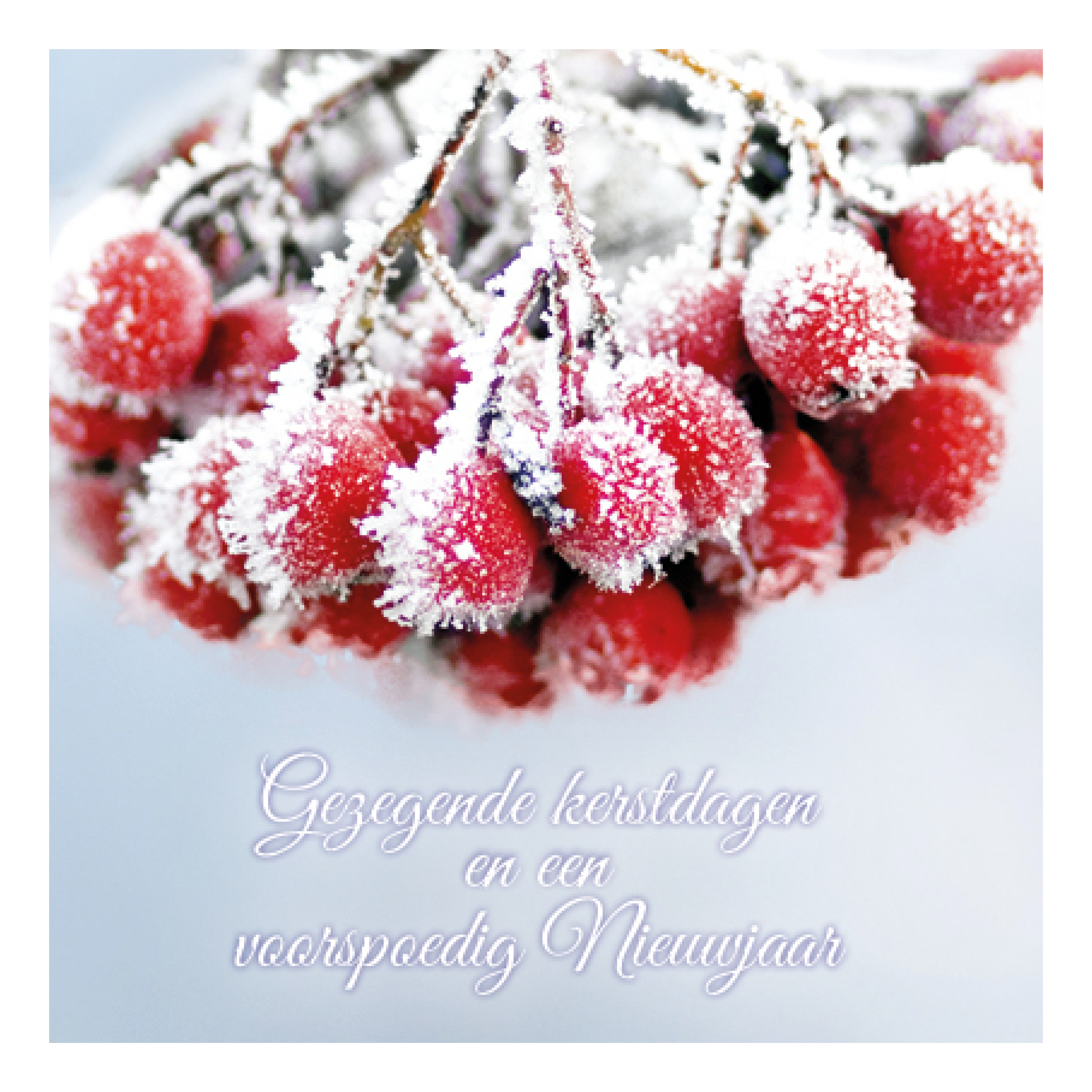 Kerstkaart 'Tros besjes'