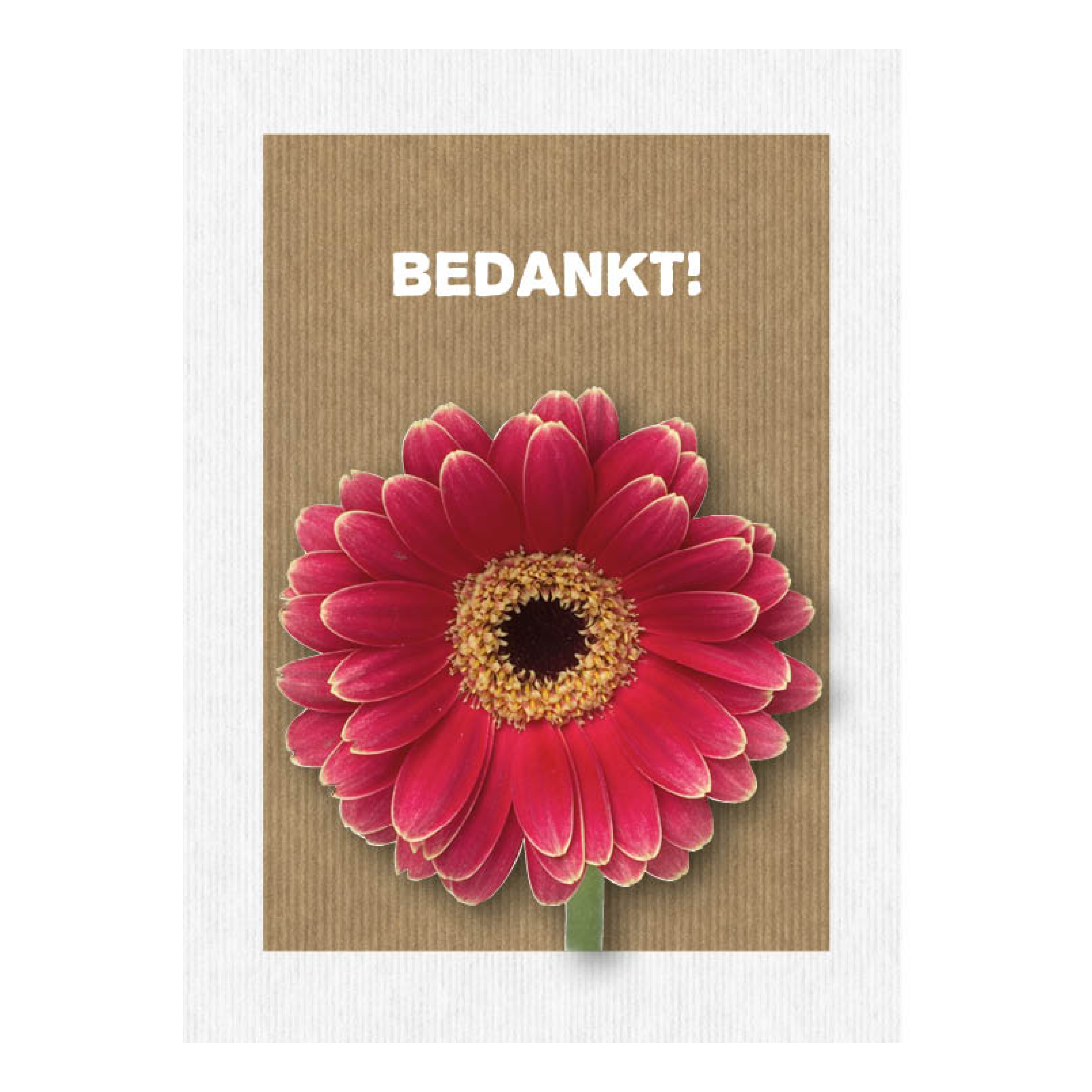 Leef!