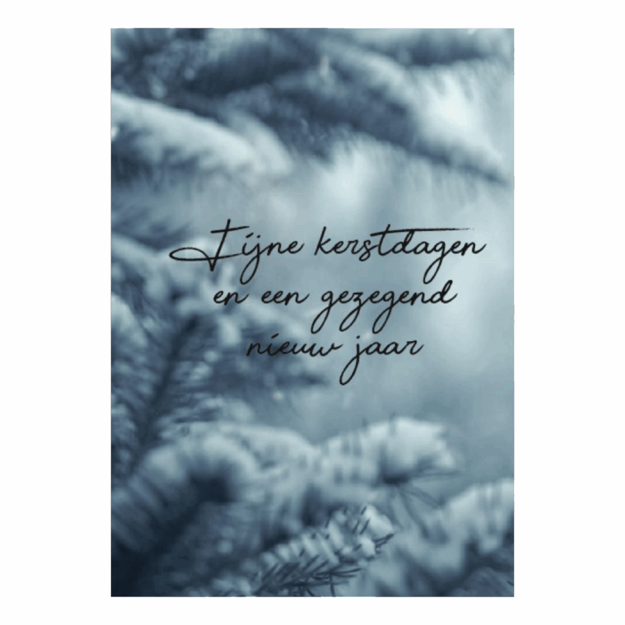 Kerstkaart 'Wintertakken'