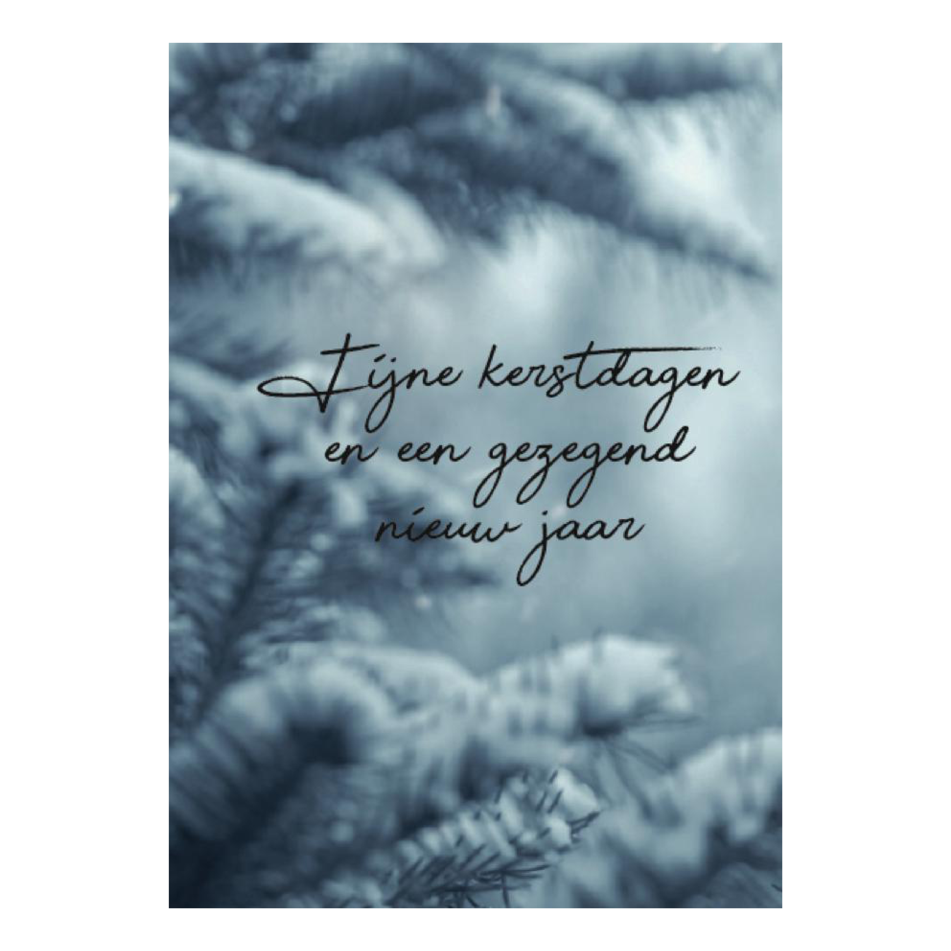 Kerstkaart 'Wintertakken'