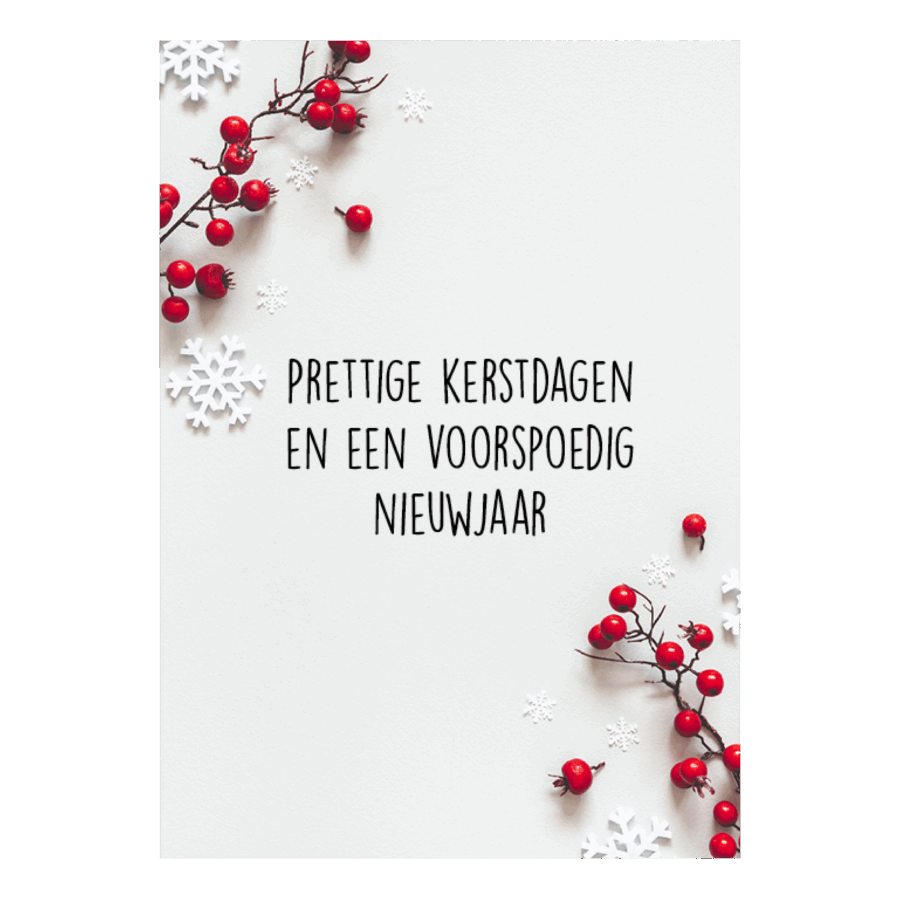 Kerstkaart 'Besjes'
