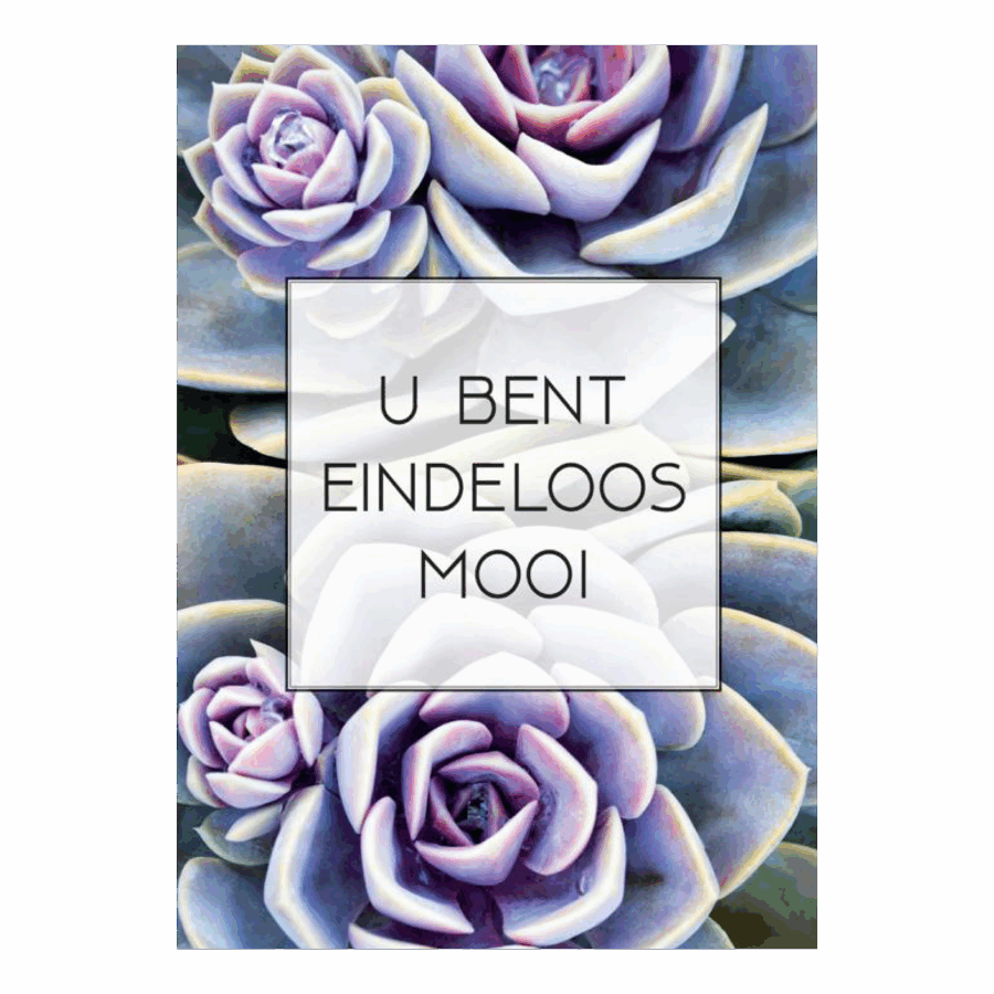 Poster 'U bent eindeloos mooi'