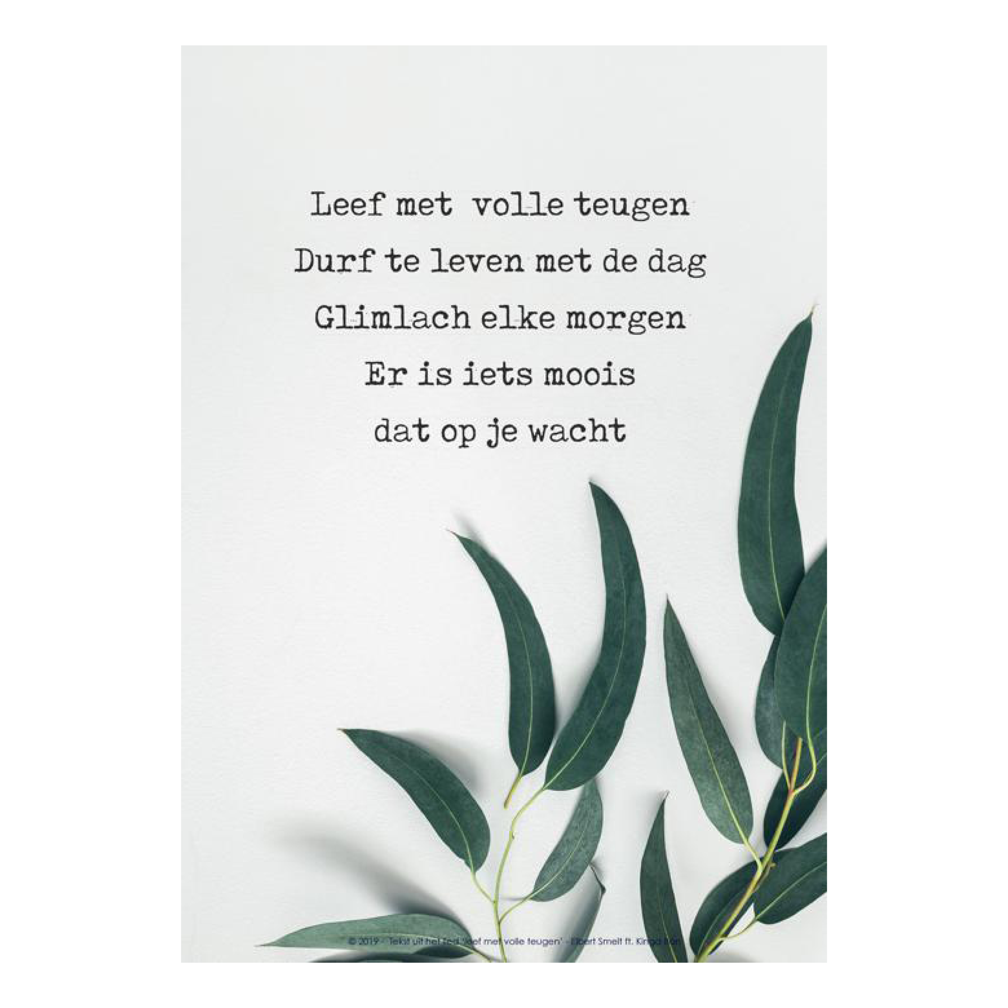Poster 'Leef met volle teugen' - olijfblad