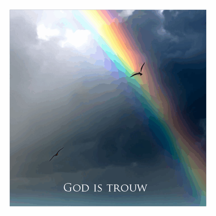 Wenskaart 'God is trouw'